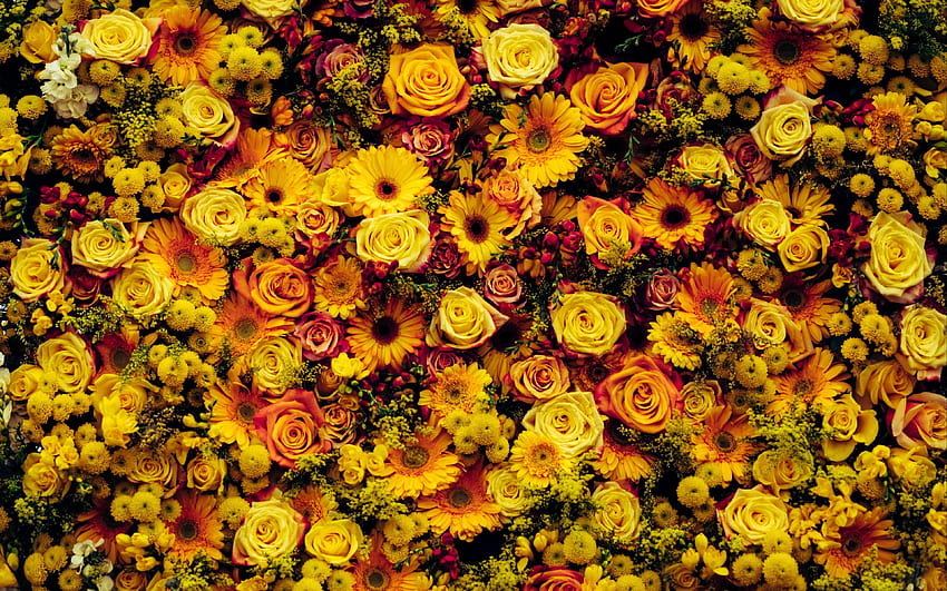 flowers, composition, floral carpet HD wallpaper