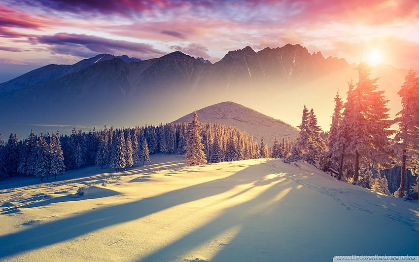 Хубава и красива зима и тема за Windows 10. Фон, Windows 10 Winter HD тапет