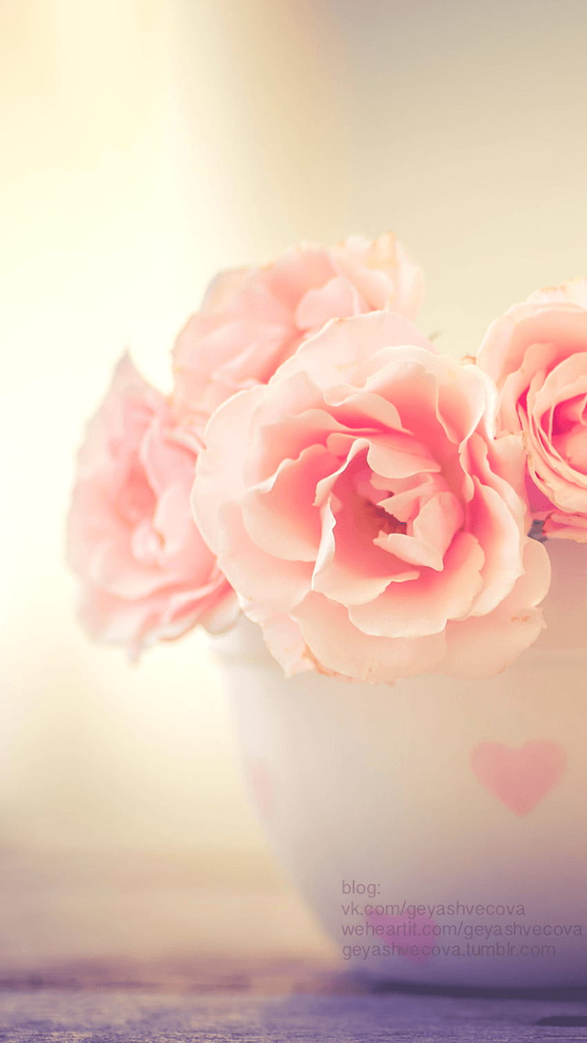 art, background, beautiful, beauty, camera, design, flowers, Pastel Aesthetic Rose HD phone wallpaper