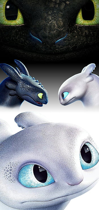 720x1440 Resolution Light Fury in How To Train Your Dragon The Hidden World  720x1440 Resolution Wallpaper  Wallpapers Den