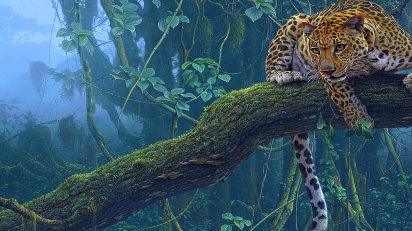 Macan Tutul Di Hutan, Hutan Jaguar Wallpaper HD