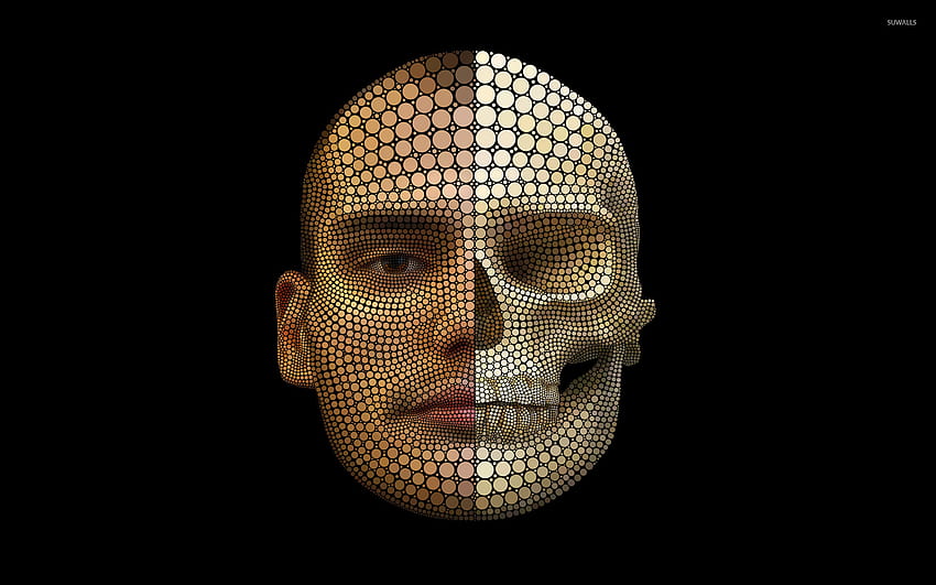 กะโหลกกวาง ใบหน้า หัว หน้าผาก มนุษย์ วัด ขากรรไกร ศิลปะ มานุษยวิทยา หัวกะโหลก วอลล์เปเปอร์ HD