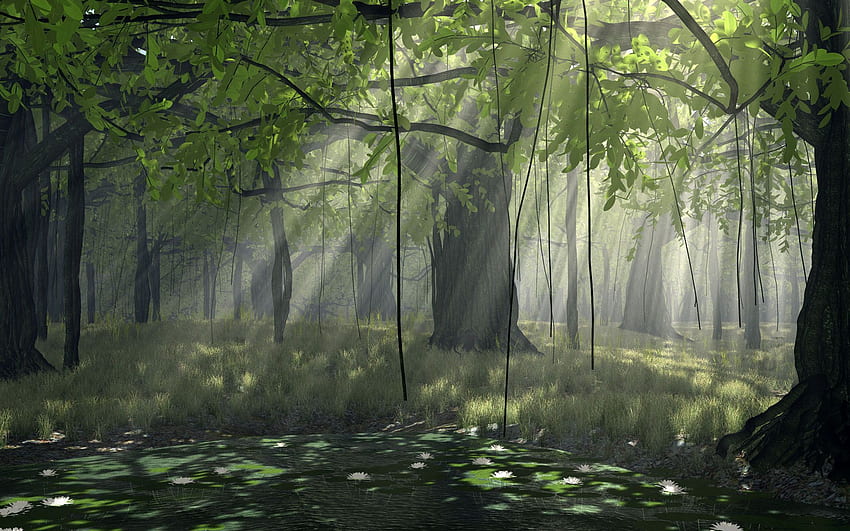 Hutan Anime Hitam Putih 27 Lebar - Hutan Animasi Gif Gif - -, Hutan Kartun Wallpaper HD