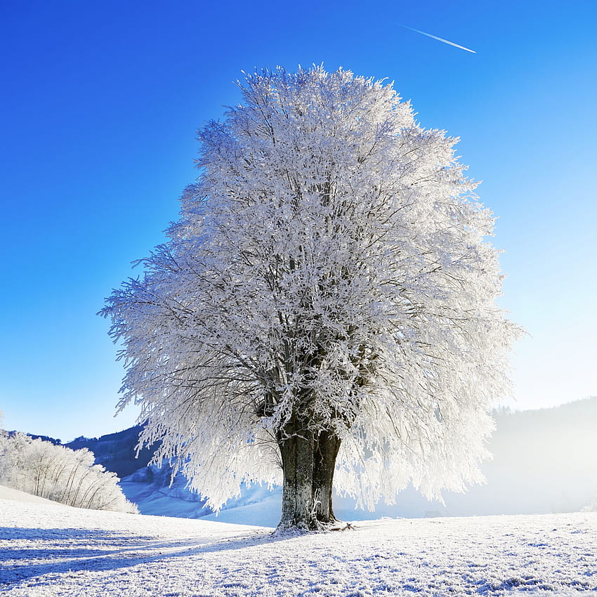 Idyllische Landschaft, Winter ❤ für Ultra, Europäischer Winter HD-Handy-Hintergrundbild
