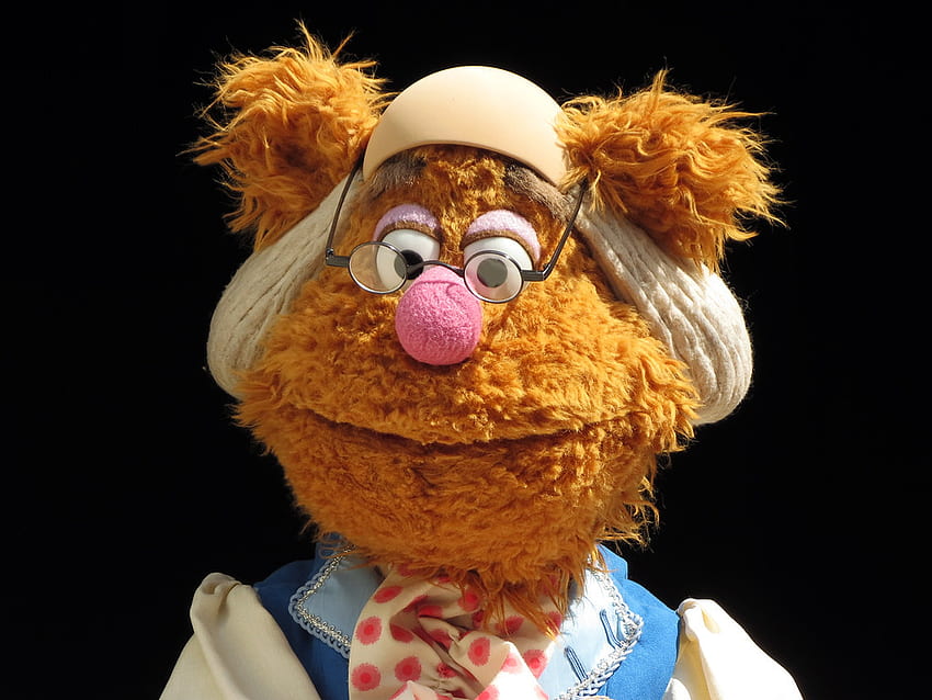 Fozzie Ayı. Muppets Amerika'da Harika Anlar Sunuyor HD duvar kağıdı