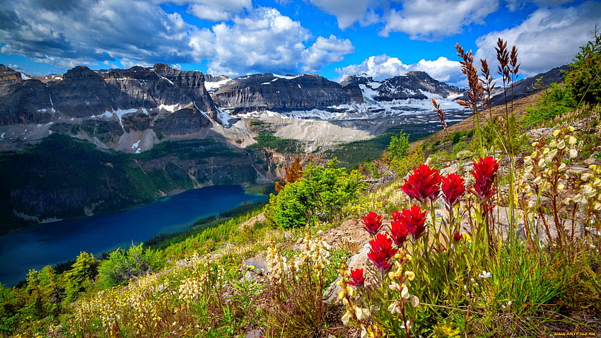 ภูมิทัศน์ที่มีภูเขาและทะเลสาบ ภูมิทัศน์ วิว ท้องฟ้า ภูเขา ทะเลสาบ เนินเขา ลาด สวย หิน ดอกไม้ป่า ฤดูร้อน วอลล์เปเปอร์ HD