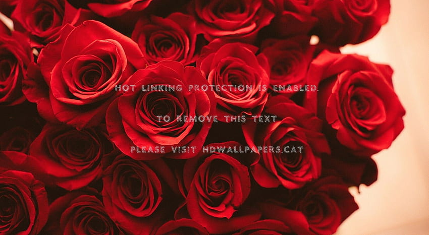 Red Roses Bouquet Petals Flowers - Rose Aesthetic HD wallpaper | Pxfuel