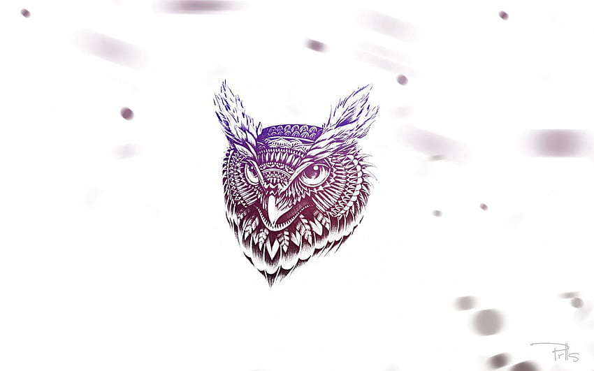 Art, Owl, Feather, Vector, Face HD wallpaper