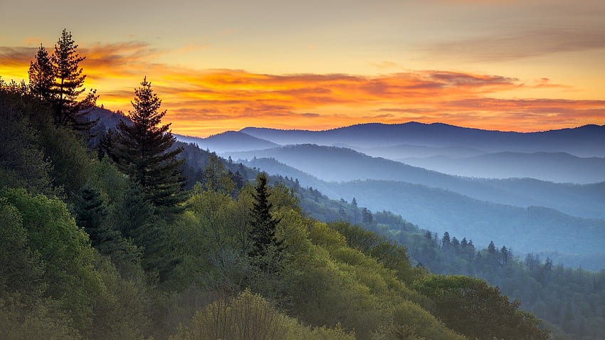 Скрийнсейвър за национален парк Smoky Mountains (страница 4), Национален парк Great Smoky Mountains HD тапет