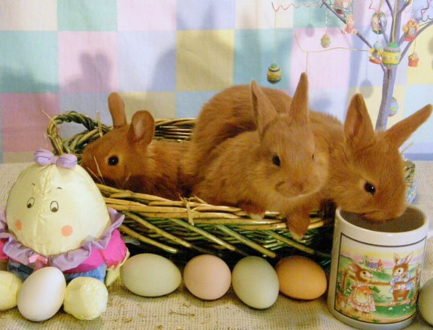 Bunny Basket, bunnies, easter bunnies, basket, holiday, easter eggs, easter, cup, eggs HD wallpaper