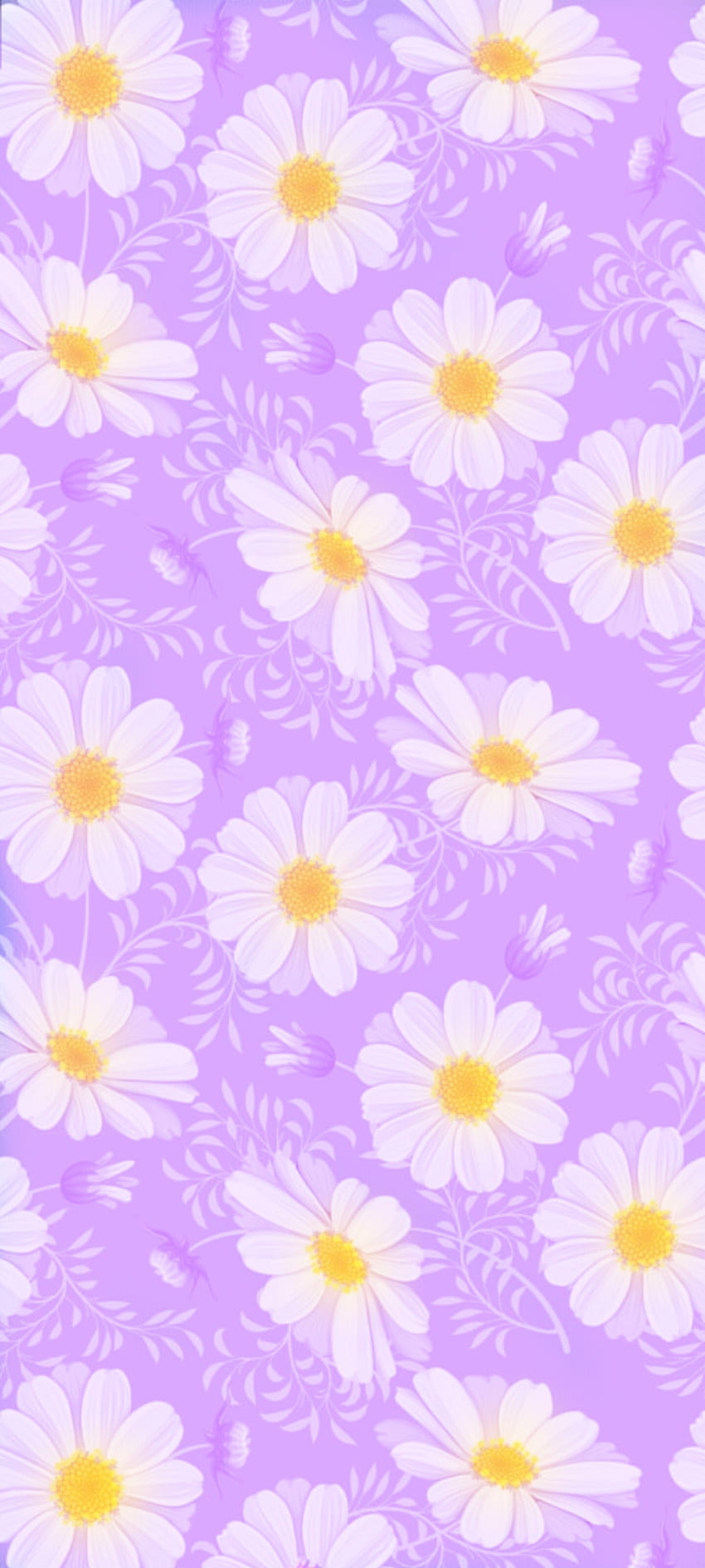 Purple daisies, flower HD phone wallpaper