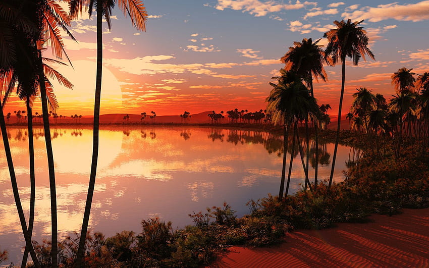 Nature, Sunset, Sun, Palms, Horizon, Lake, Evening HD wallpaper