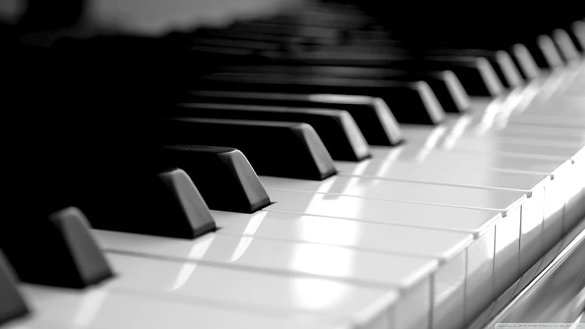 Пиано, роял HD тапет