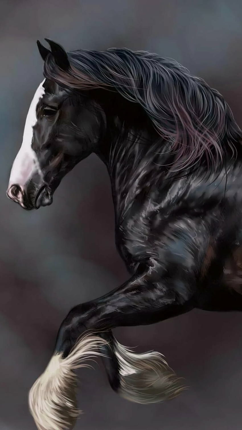 Black Horse, Caballo Black Horse HD phone wallpaper