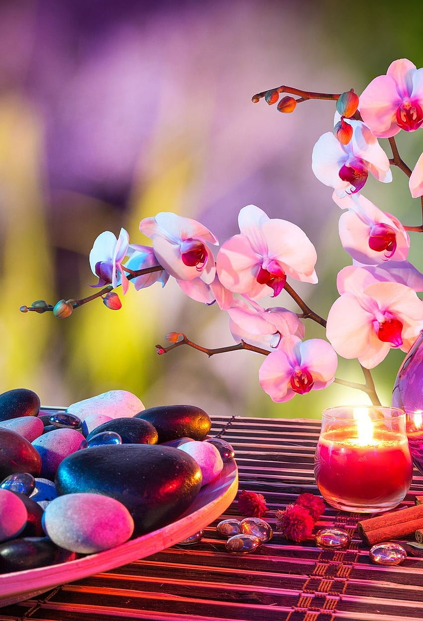 Cadre Nature Zen sophisticated Features Vibrant iPhone HD phone wallpaper