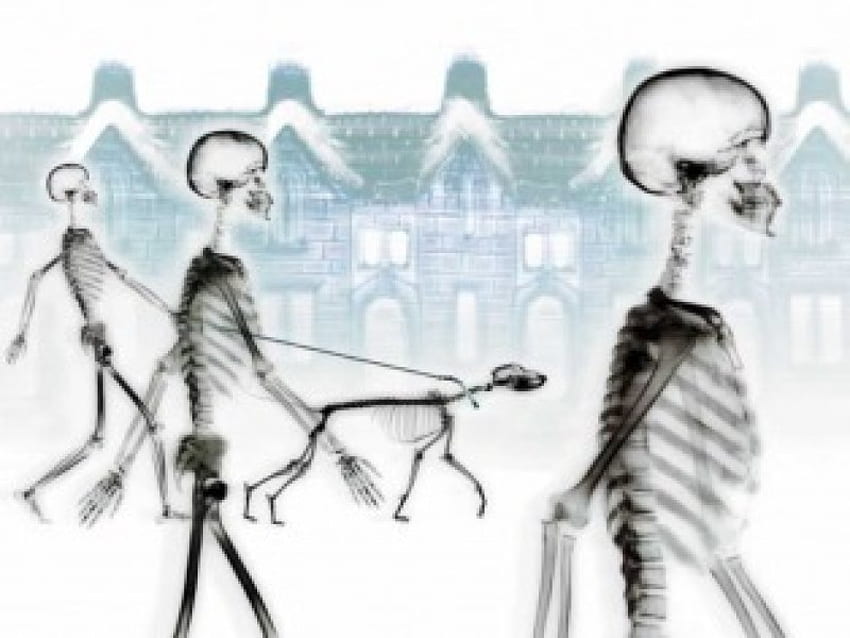 Rumbustious Street Skelleton Walking a Dog, dog, skeletons, houses, walking HD wallpaper