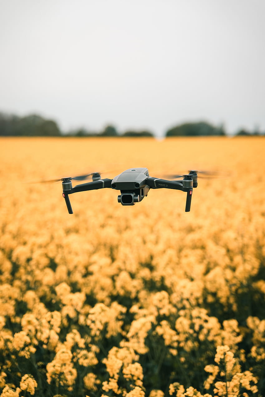 Flowers, Field, Flight, Technologies, Technology, Quadcopter, Drone HD phone wallpaper