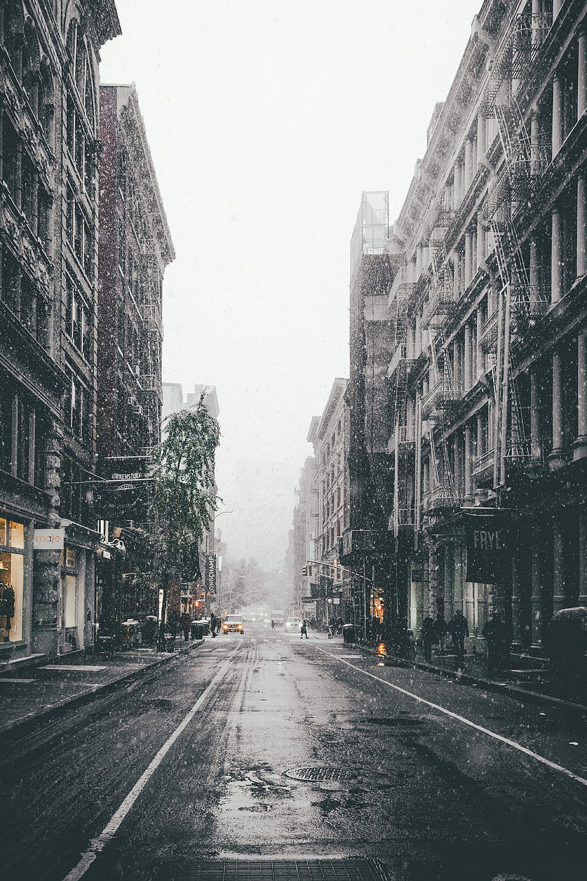 都市, 冬, 市, 霧, 通り, 降雪 HD電話の壁紙