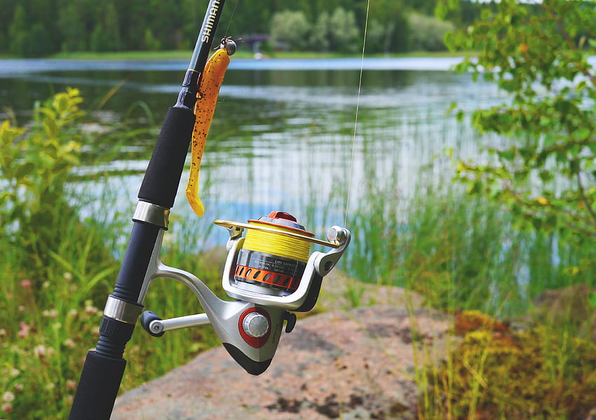 Fly fishing rod and reel Ultra . Background ., Sport Fishing HD wallpaper
