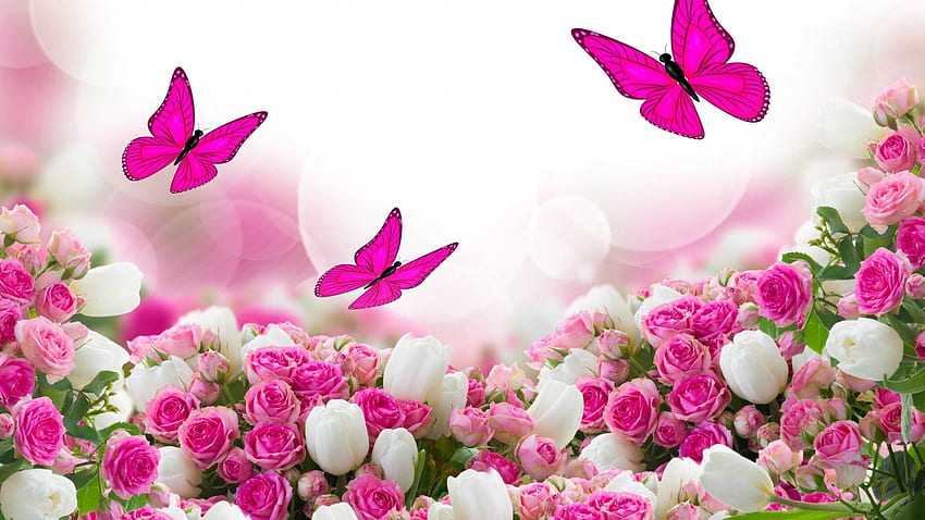 Pink Butterflies With Pink White Roses Pink Butterfly ., Beautiful Pink Flowers Butterfly HD wallpaper