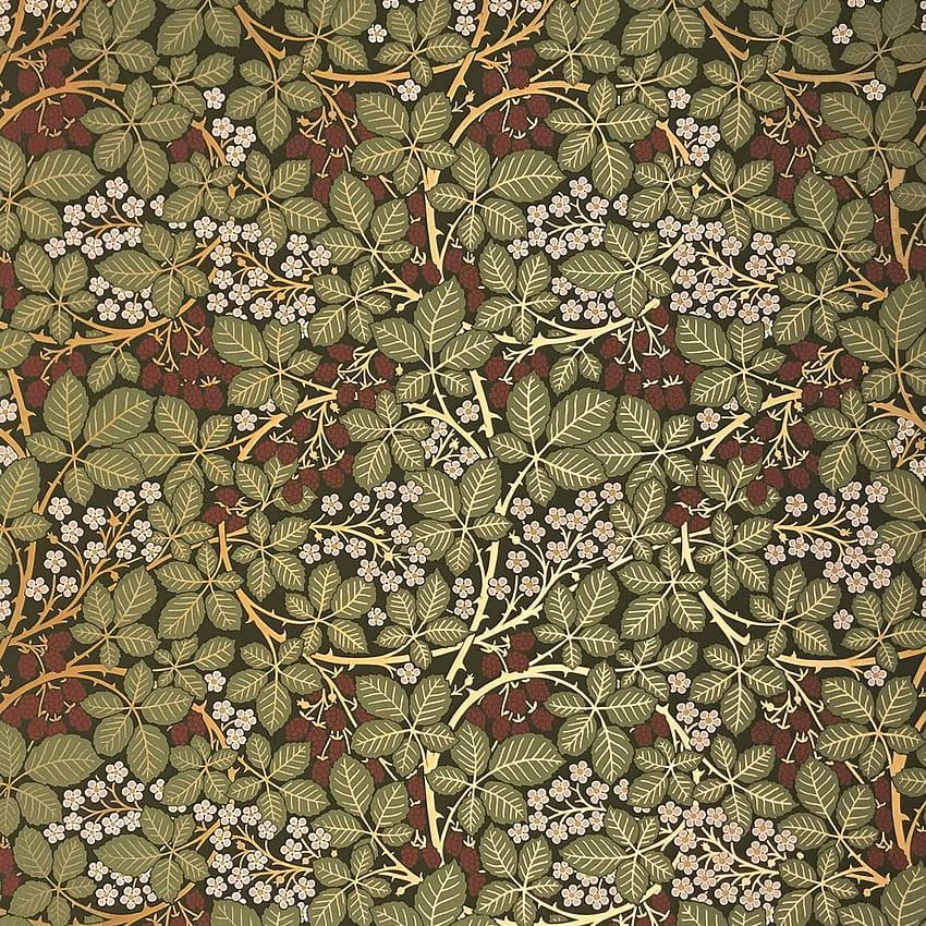 Bradbury Raspberry Bramble . Victorian Floral , Green Victorian HD phone wallpaper