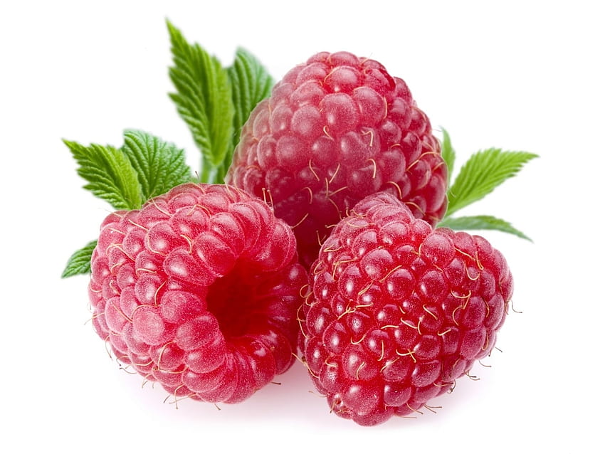 Makanan, Raspberry, Berry Wallpaper HD