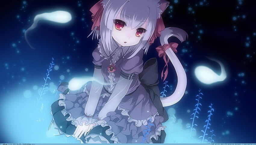 Catgirl, Chat Fille Anime Fond d'écran HD