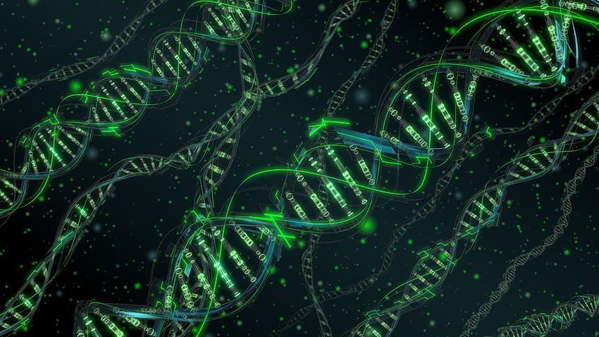 DNA Testi, Biyomedikal Mühendisliği HD duvar kağıdı