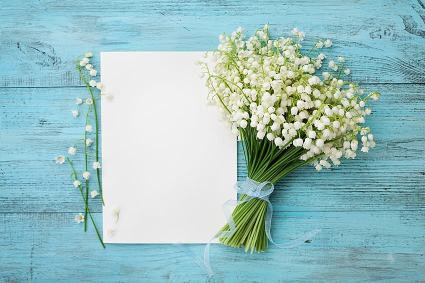 Sheet of paper Flowers Lilies of the valley, Lily of The Valley HD wallpaper