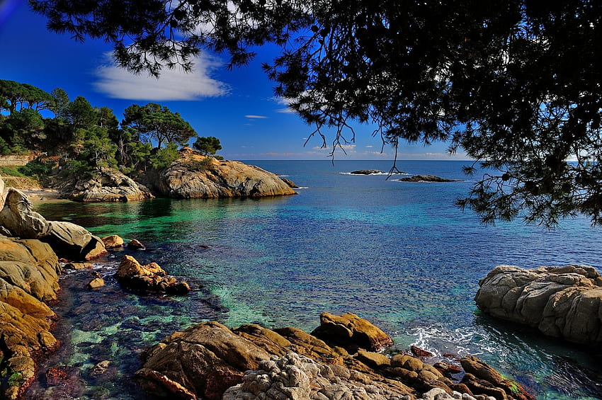 Nature, Stones, Coast, Branches, Spain, Costa Brava, Catalonia, Mediterranean Sea HD wallpaper