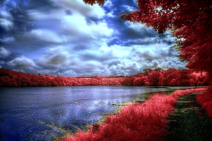 ★Autumn Silent★, graphy, silent, weather, colors, scenery, red trees, trees, autumn, fall season, attractions in dreams, beautiful, grass, seasons, creative pre-made, love four seasons, lakes, landscapes, red, clouds, nature, sky HD wallpaper