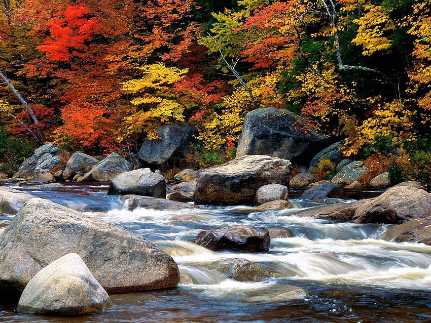 Nature, Water, Stones, Autumn, Leaves, Flow, Village, Stream, Gurgling, Murmur, Villages HD wallpaper