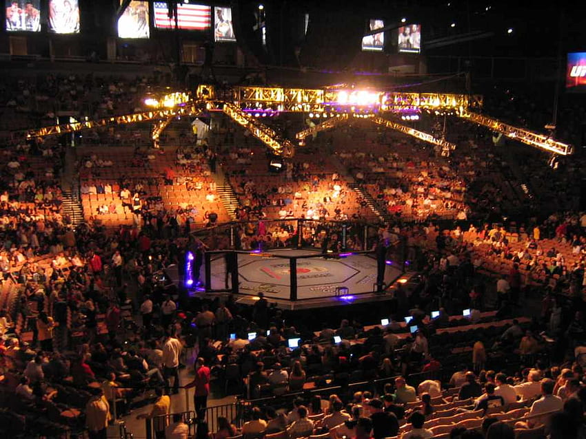 Octagon Ring screenshots, and, UFC Cage HD wallpaper