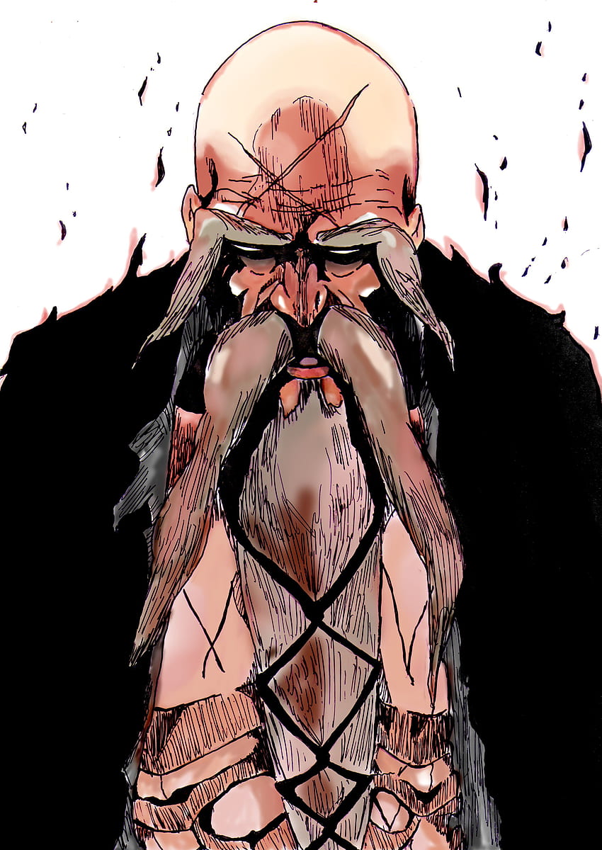 Yamamoto Genryuusai Shigekuni/. Bleach Anime, Bleach Art, Bleach, Genryusai Shigekuni Yamamoto HD-Handy-Hintergrundbild