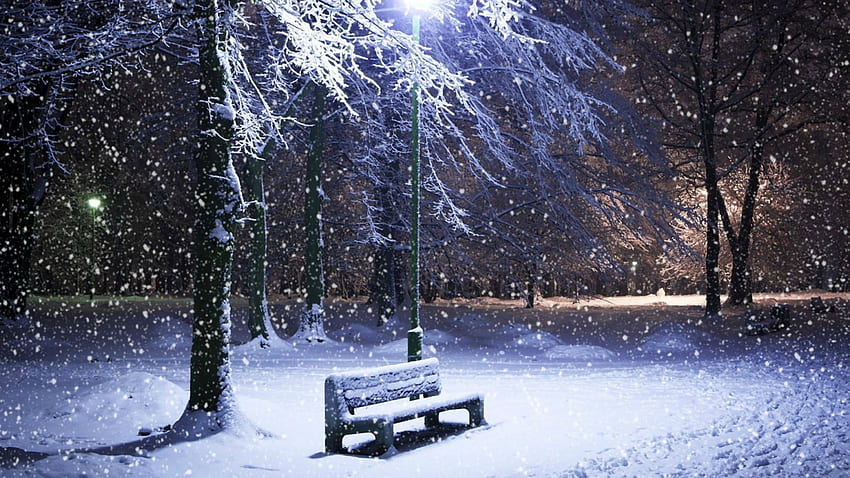 ITS SNOWING THE WIND IS BLOWING, winter, winterland, snow, blowing HD wallpaper