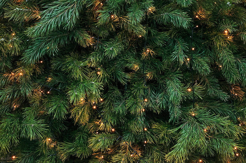 de zoom festivo: Alegría navideña, Nochevieja y escenas invernales, Navidad verde oscuro fondo de pantalla