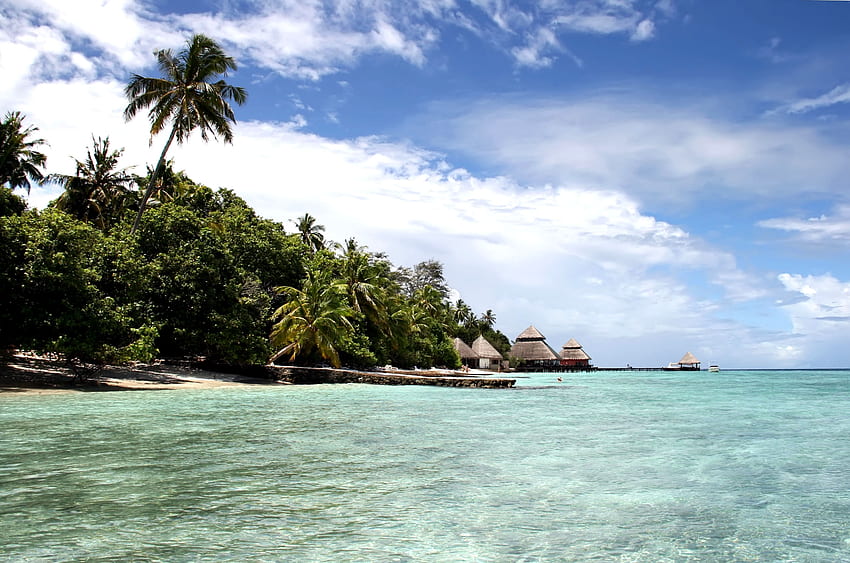 Natura, palmy, brzeg, bank, ocean, wyspa, zatoka, Malediwy Tapeta HD
