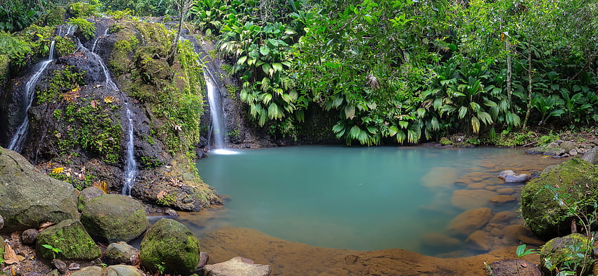 Guadeloupe Basse Terre Nature Waterfalls Tropics HD wallpaper