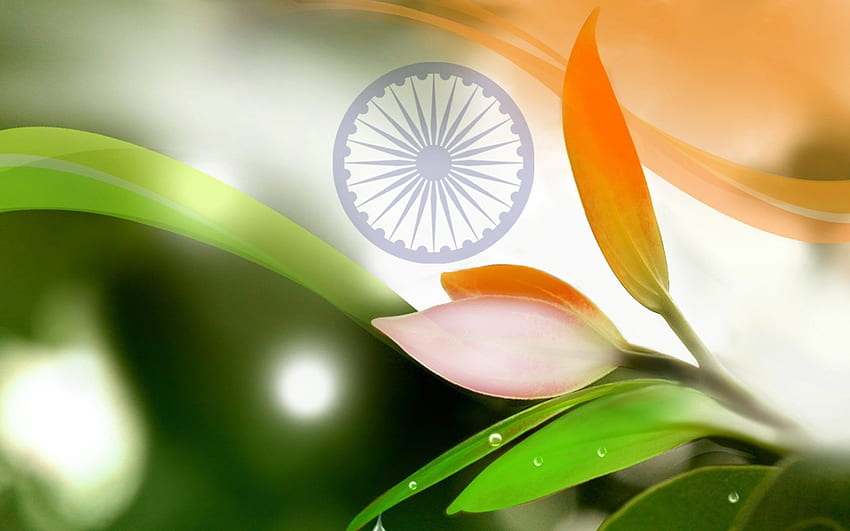 tiranga w naturze do dekoracji flagi indyjskiej. grafika Tapeta HD