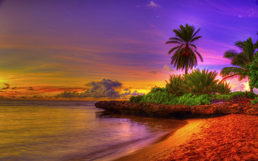 tropical beach 3D background HD wallpaper