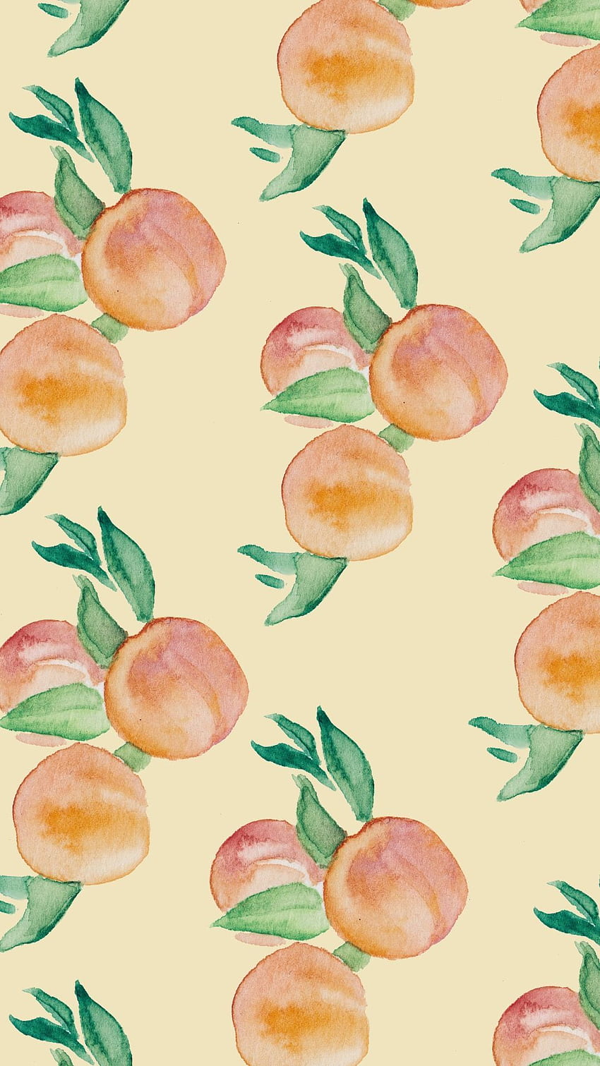 bie Watercolor Wednesday: Phone - Peachy Feels, Fruit HD phone wallpaper