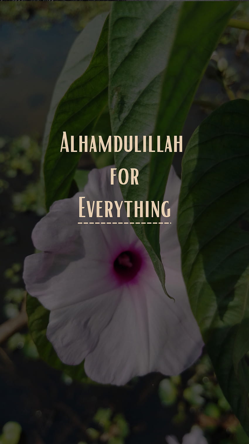 Islamic alhamdulillah HD wallpapers | Pxfuel