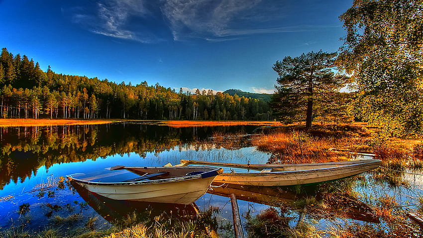 Filled with Rainwater, old, rowboats, hear the loons, autumn, peaceful HD wallpaper