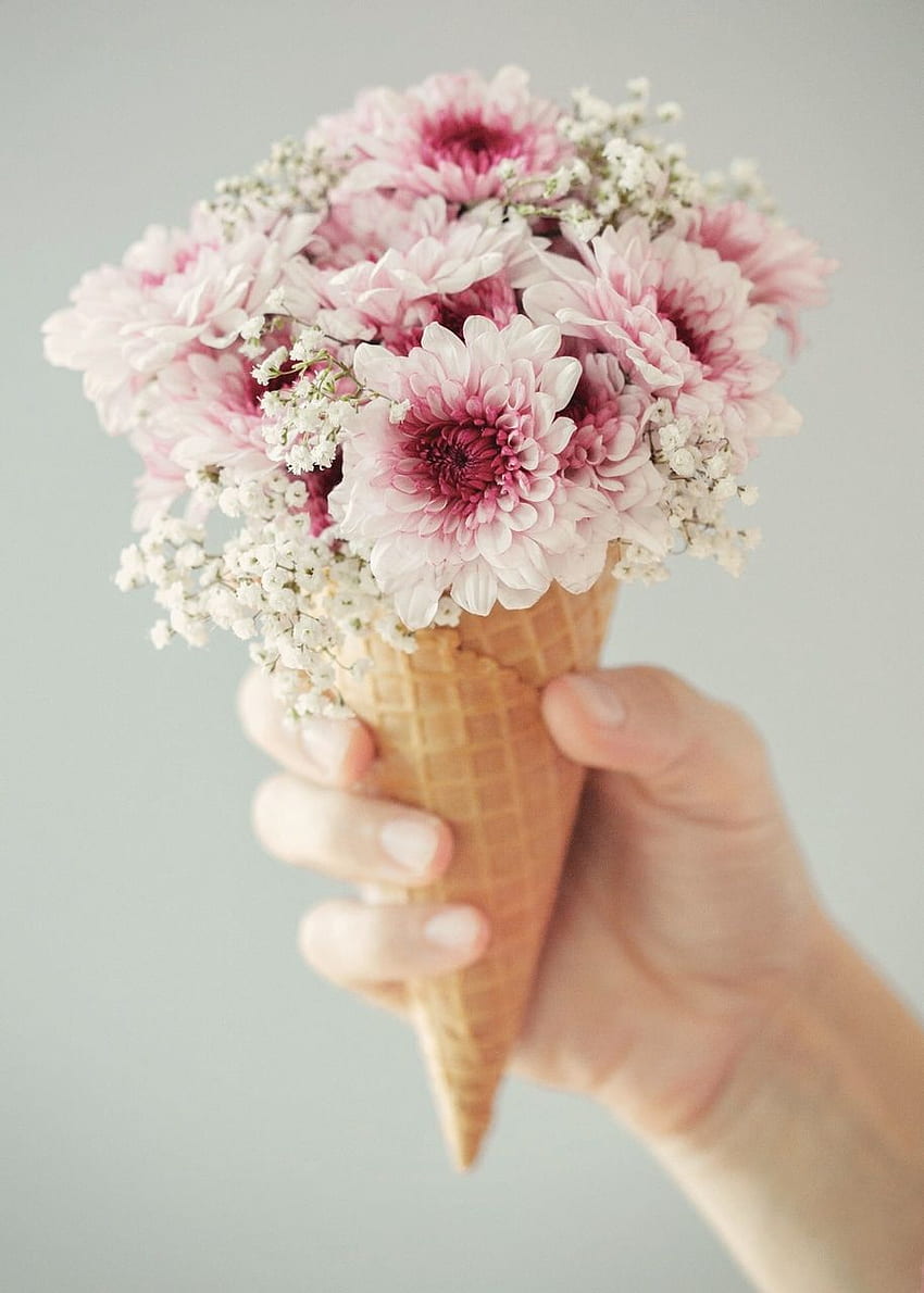 ice cream, , flower cone and aesthetic - on HD phone wallpaper