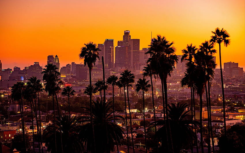 Miasto, zachód słońca, Kalifornia, palmy, Los Angeles • Dla Ciebie Dla urządzeń przenośnych Tapeta HD