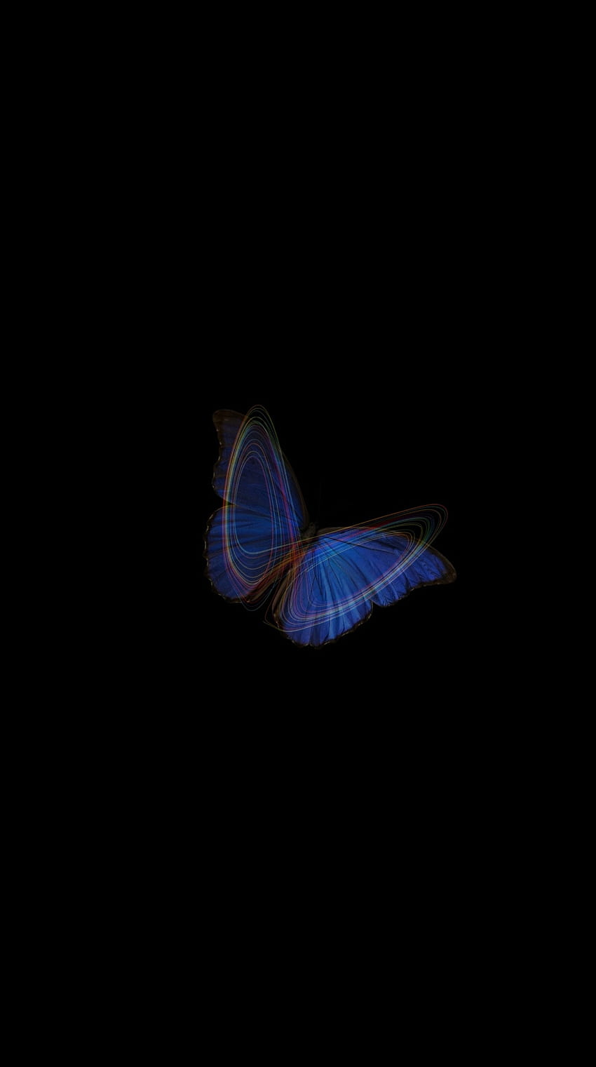 L'effet papillon, pollillas_y_mariposas, Pluma Fond d'écran de téléphone HD