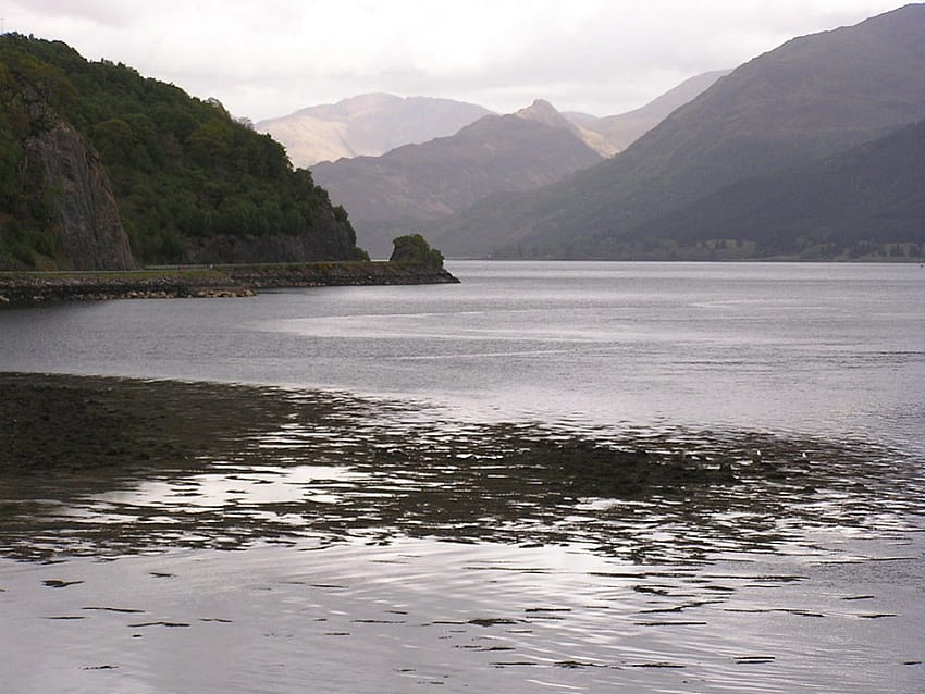 Escocia - Loch Duich, lochs, lagos, paisaje, escocia fondo de pantalla