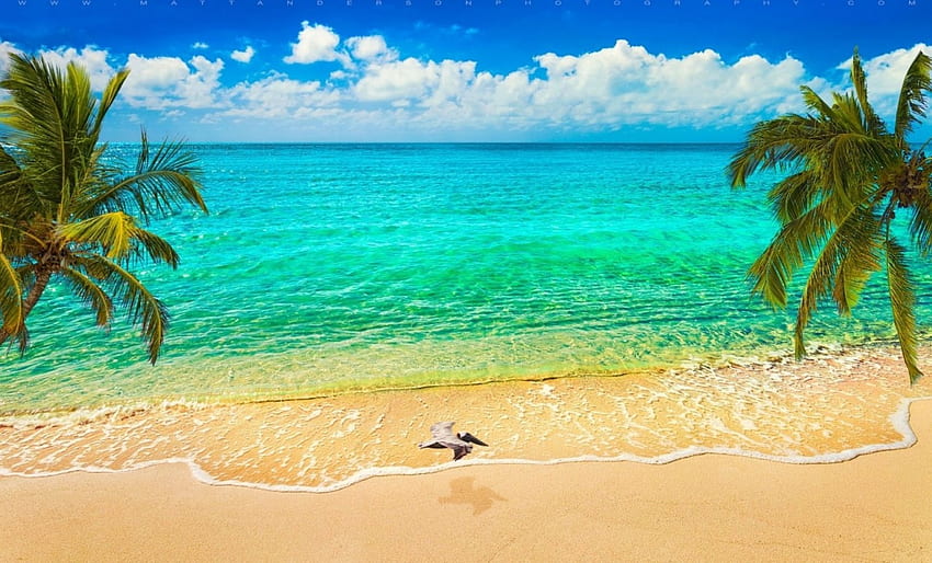 Piękna sceneria, niebo, przyroda, piaski, plaża Tapeta HD