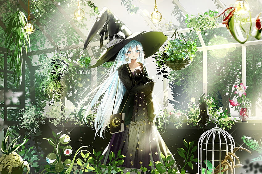 12++ Anime Black Cat, Beautiful Witch Cat HD wallpaper