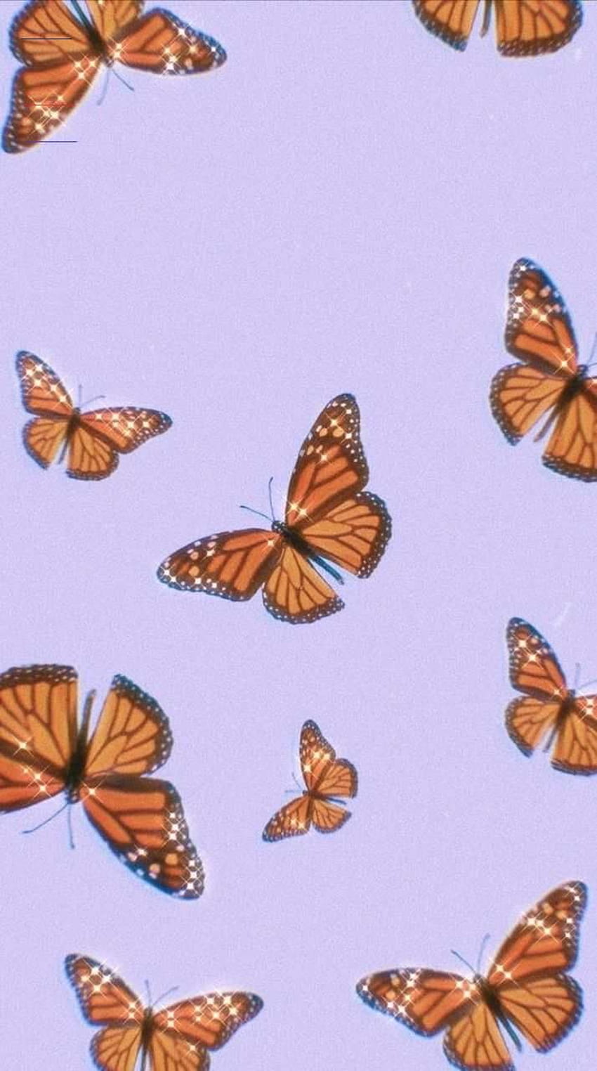 귀여운 나비 미적 보라색 모의 HD 전화 배경 화면